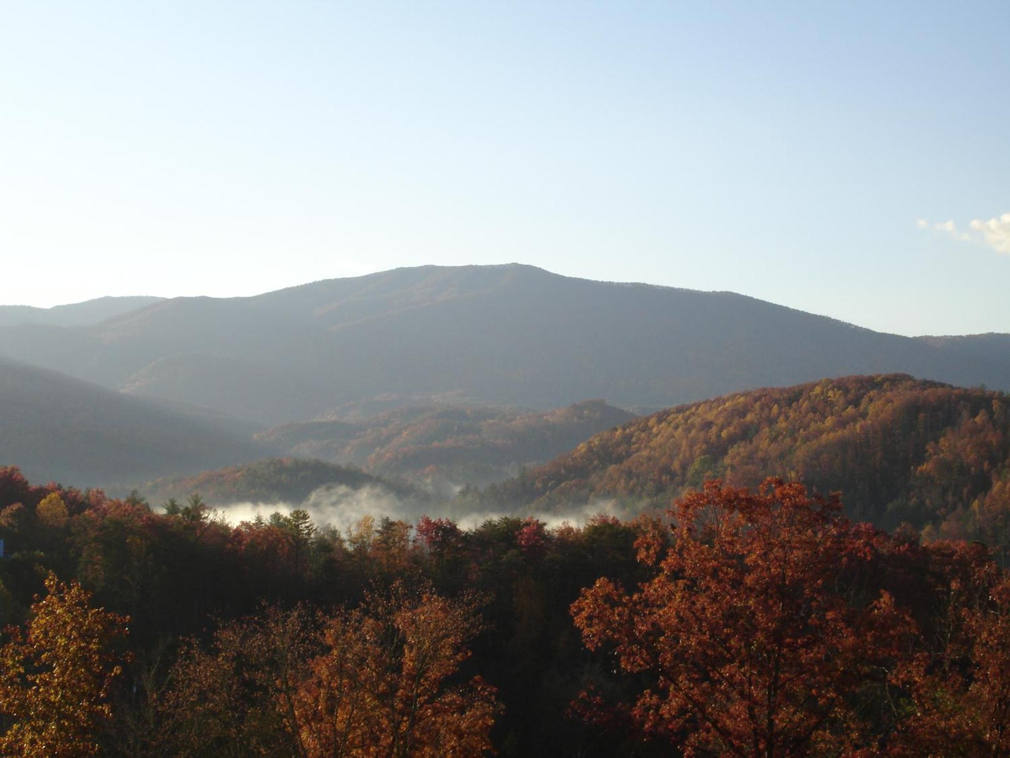 Stairway To Heaven, Breathtaking Mtn Views Indoor Pool & Hot Tub Leilighet Gatlinburg Eksteriør bilde