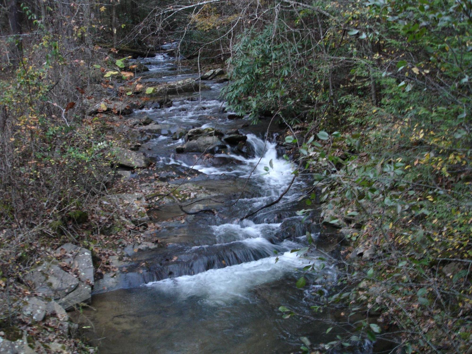 Stairway To Heaven, Breathtaking Mtn Views Indoor Pool & Hot Tub Leilighet Gatlinburg Eksteriør bilde