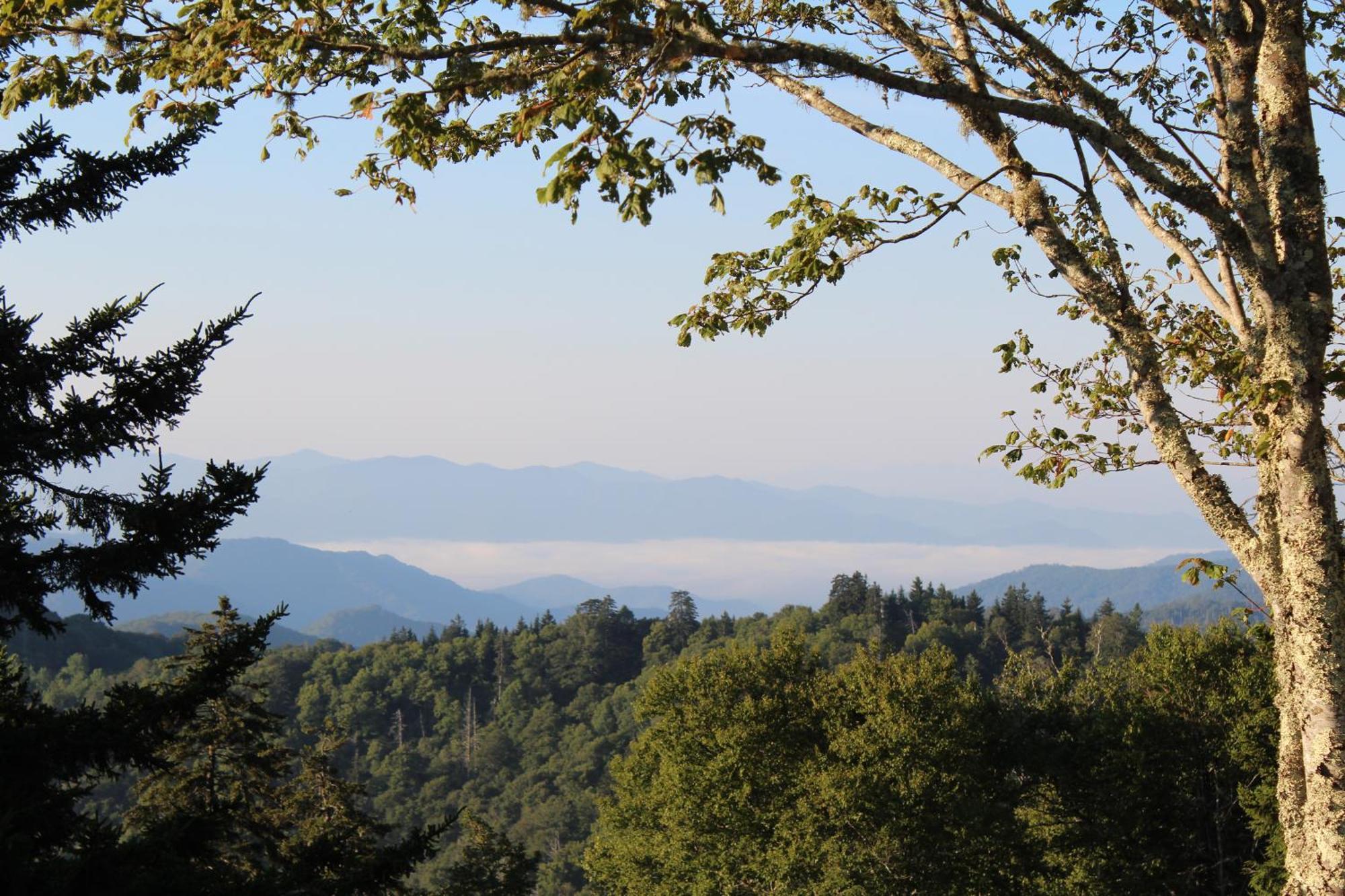 Stairway To Heaven, Breathtaking Mtn Views Indoor Pool & Hot Tub Leilighet Gatlinburg Eksteriør bilde